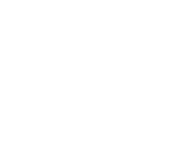 Entretenciones León