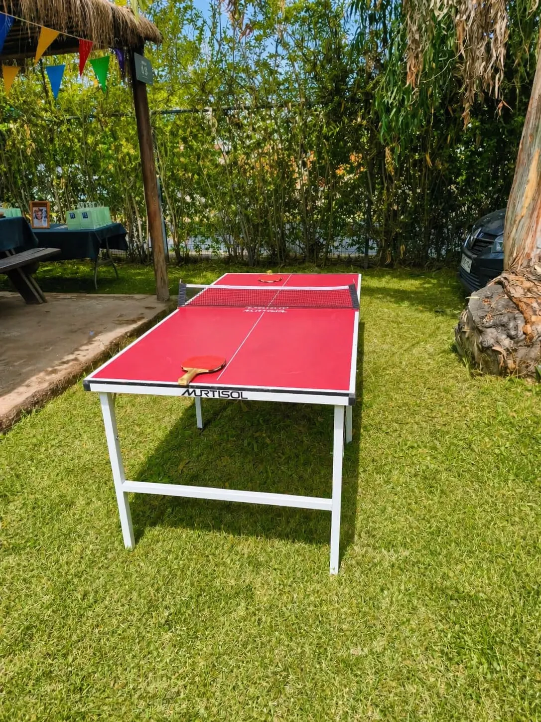 Mini Ping Pong
